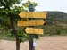 Evelyne 33