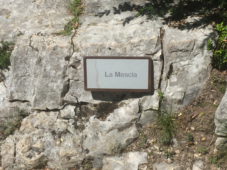 Dominique L14