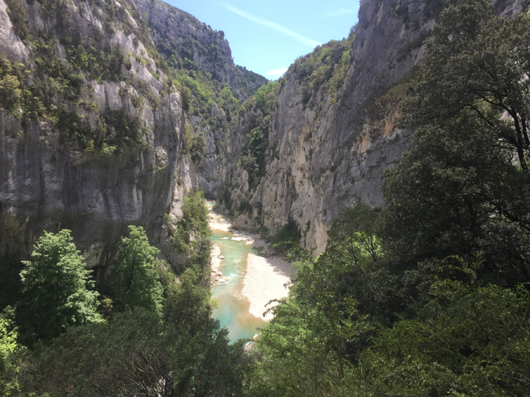 Dominique L15