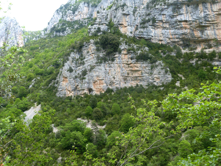 Evelyne 52