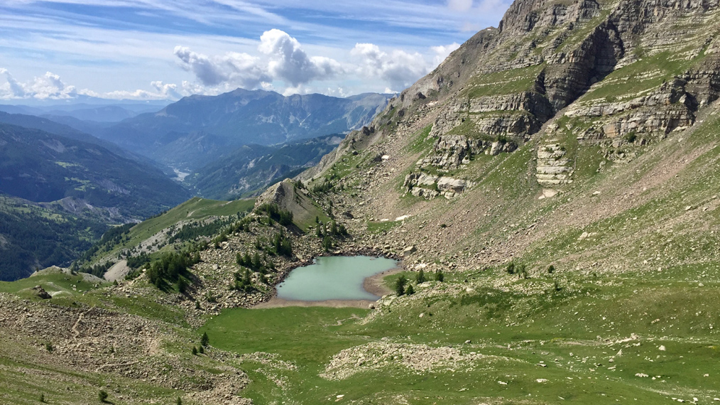 Dominique L16