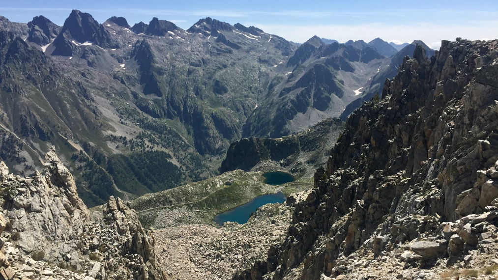 Dominique L19