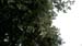 Evelyne 26