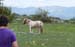 Evelyne 24