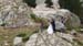Evelyne 25