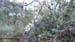 Evelyne 68