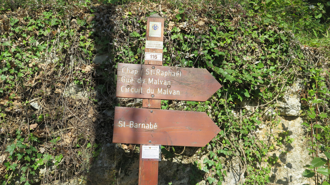 Bernard S02