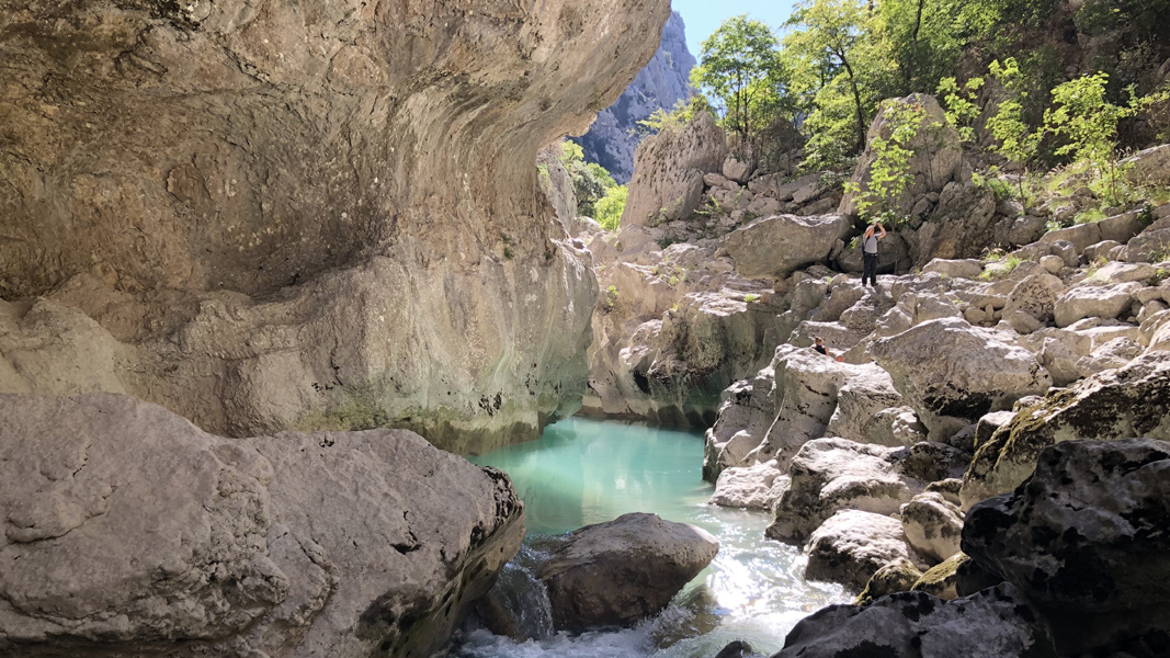Dominique L16