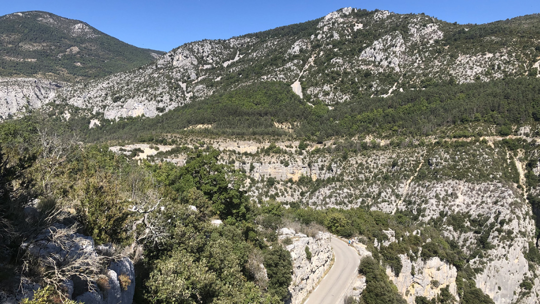 Dominique L49