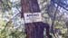 Alain 02