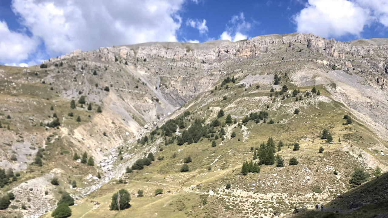 Dominique L16