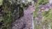 Alain 15