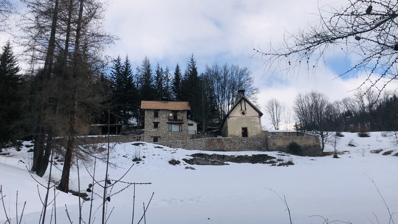 Dominique L16