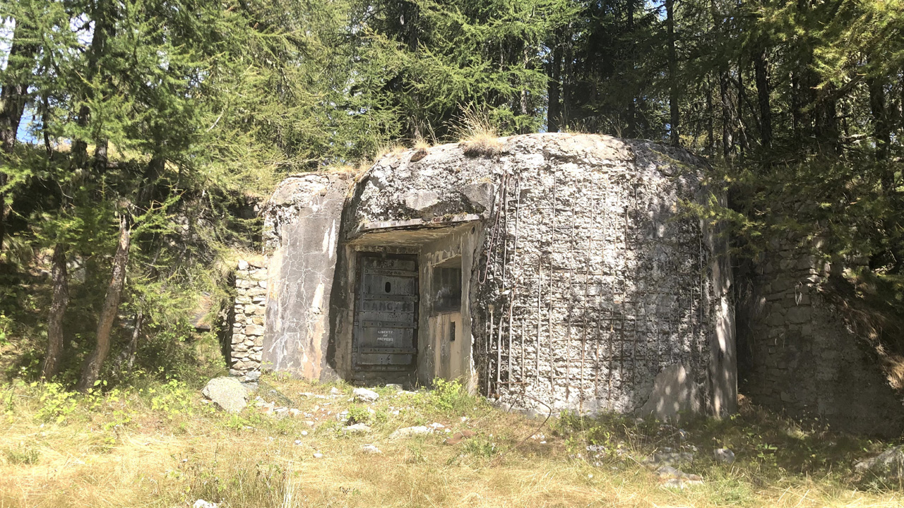 Dominique L3