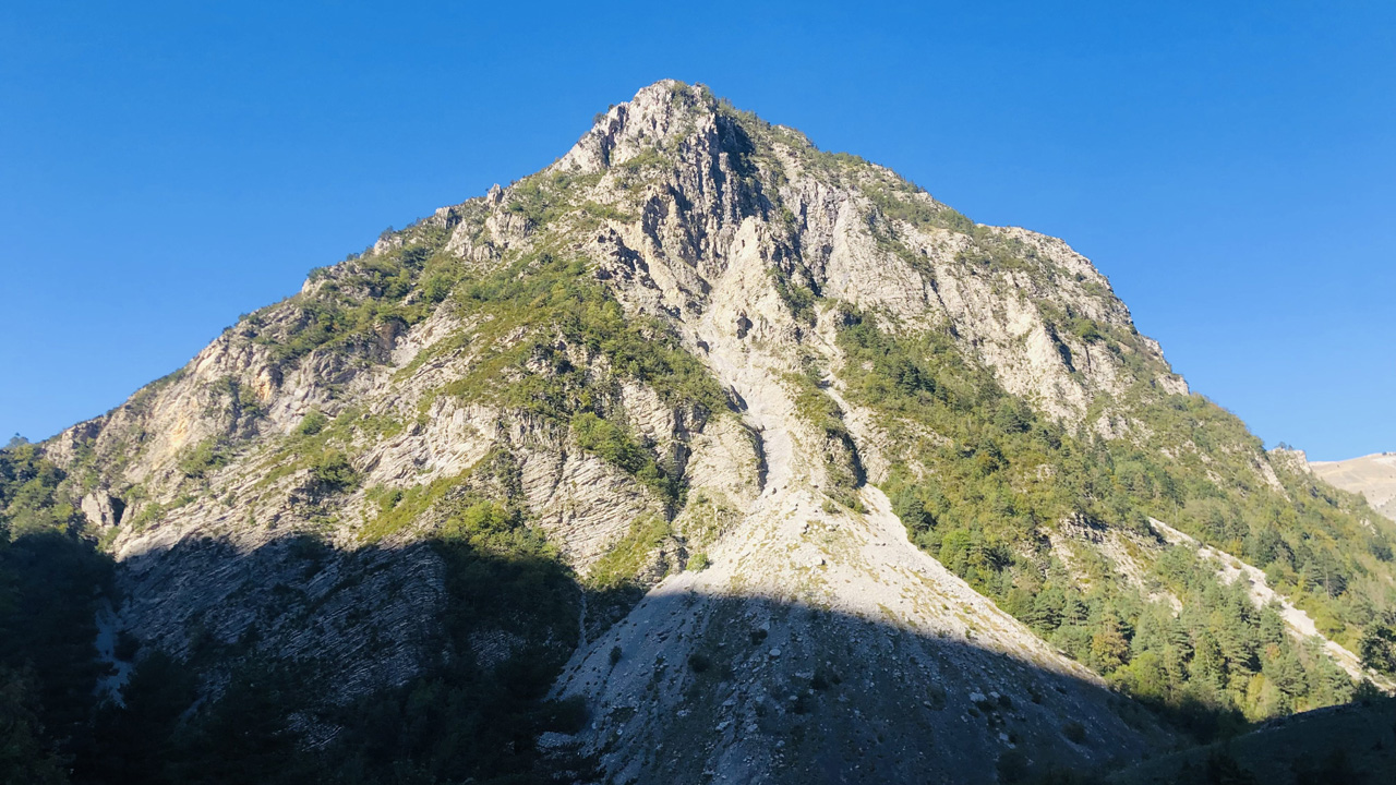 Dominique L11