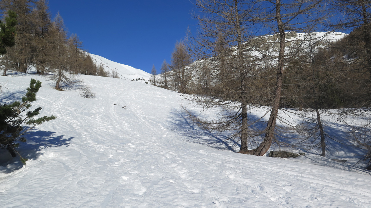 Bernard S (dimanche 4) 10