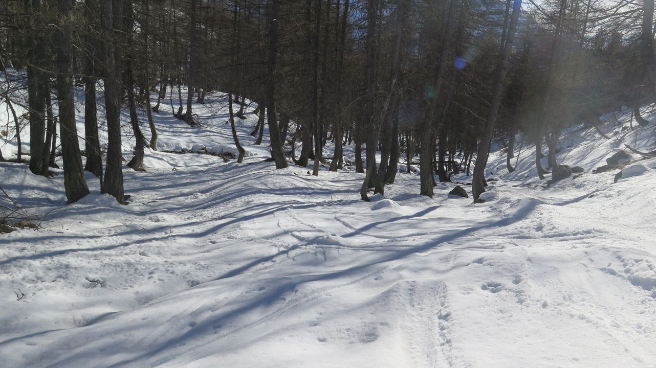 Bernard S (dimanche 4) 28
