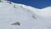 Bernard S (dimanche 4) 18