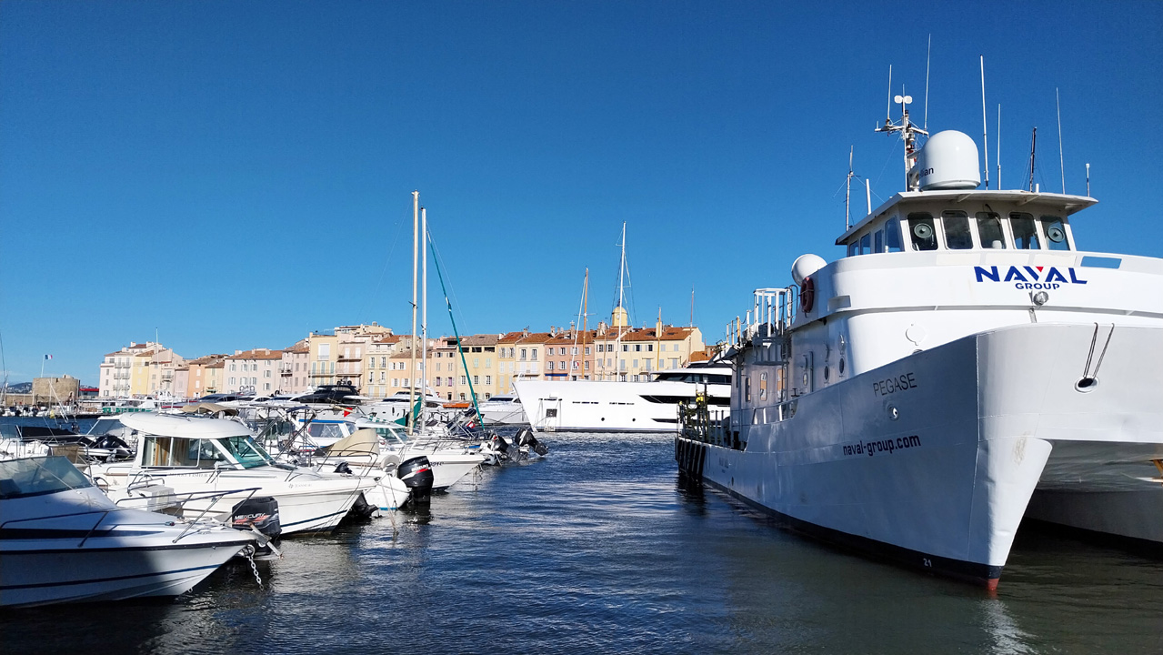 Roselyne 31