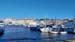 Roselyne 30