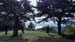 Roselyne 26