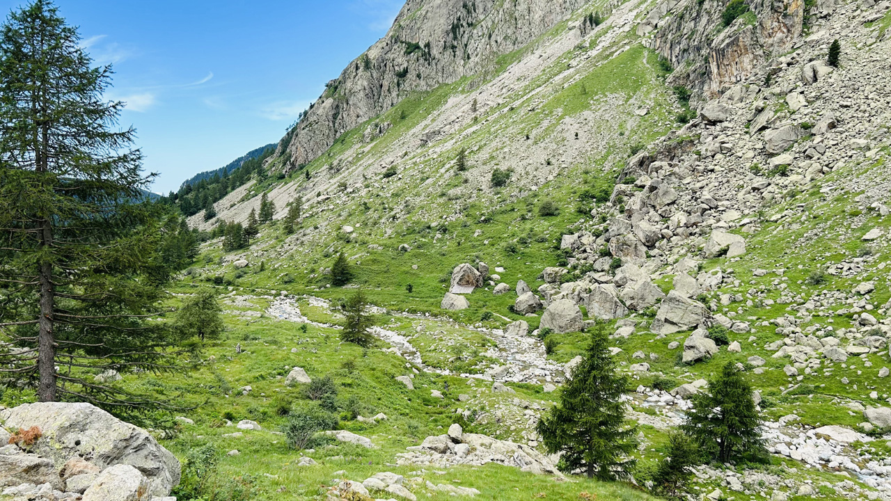 Dominique L04