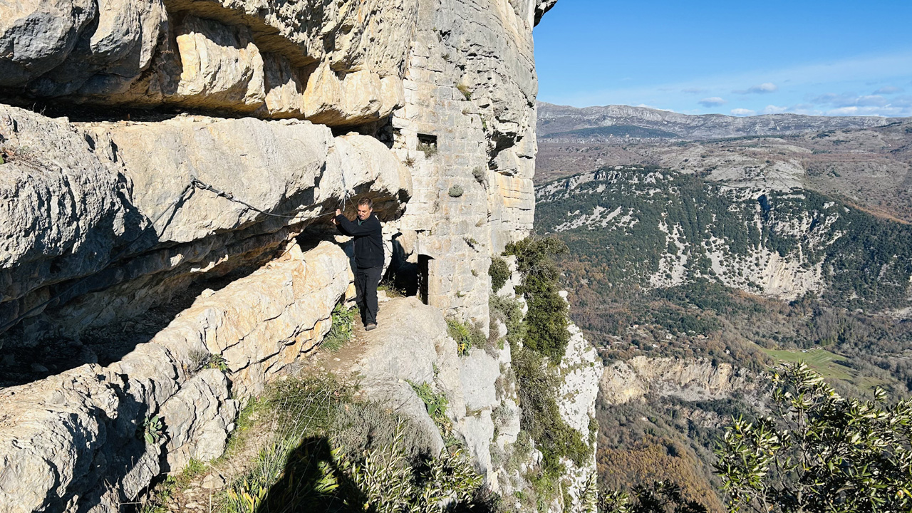 Dominique L15