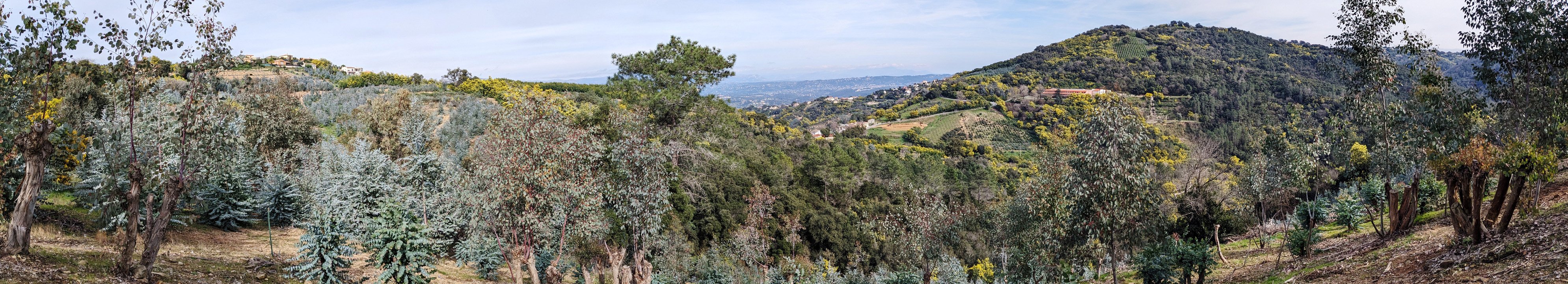 Panorama