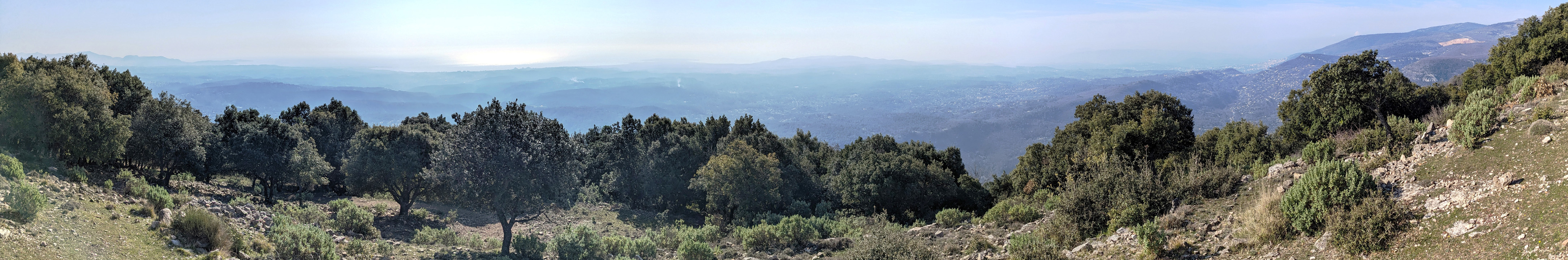 Panorama 1