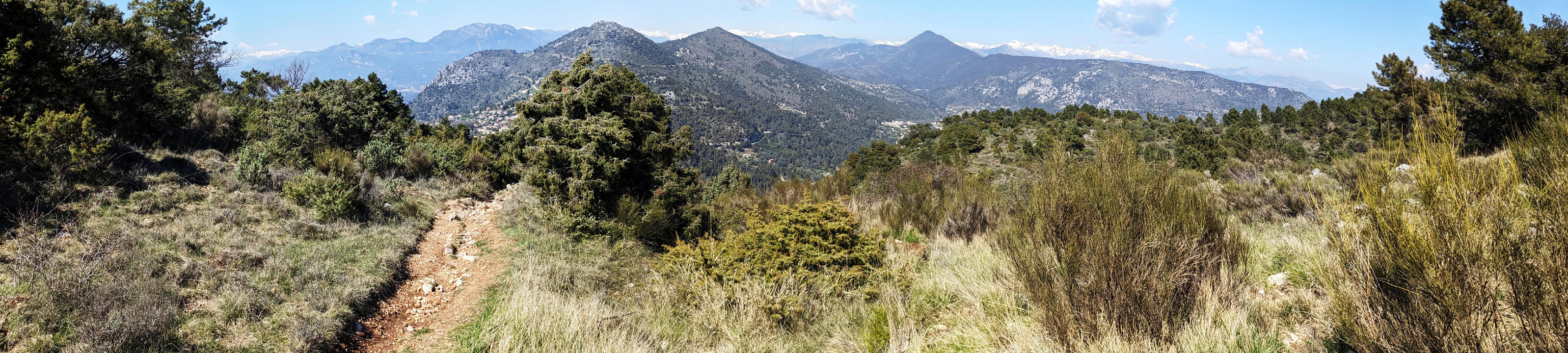 Panorama