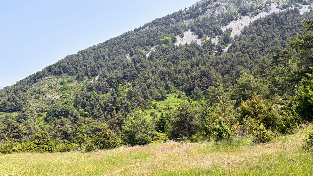 Rocca 02