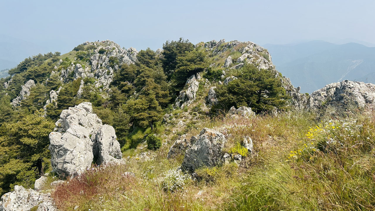 Rocca 08