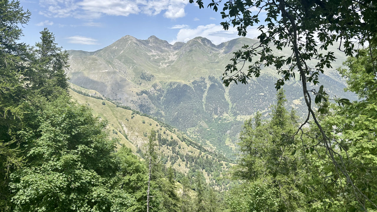 Mireille 16