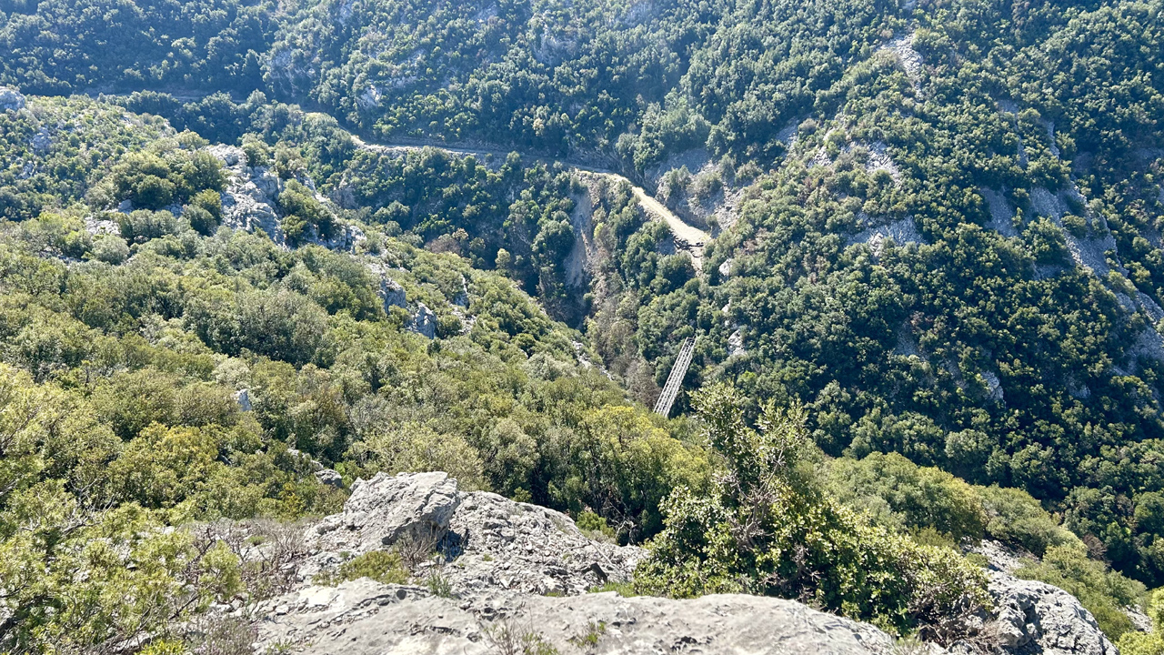 Dominique L14