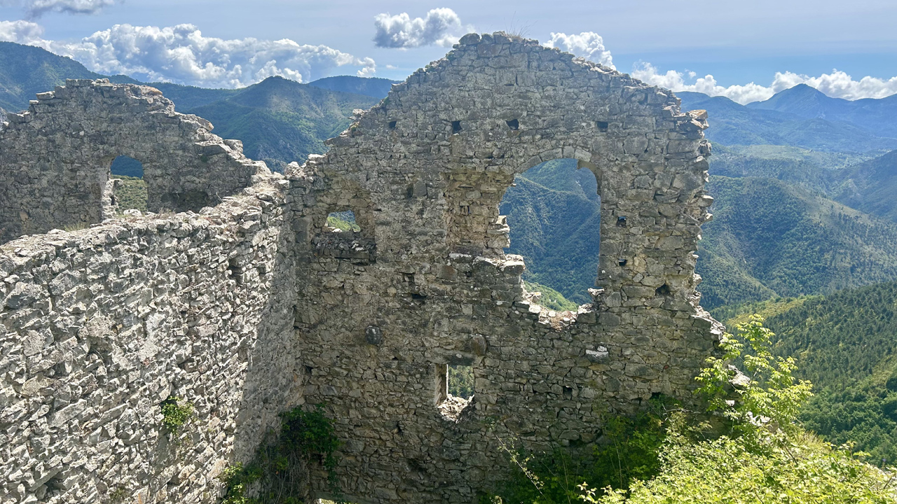 Dominique L11