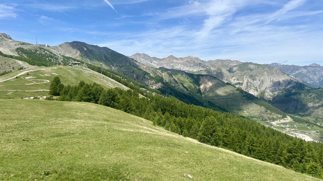 Dominique L11