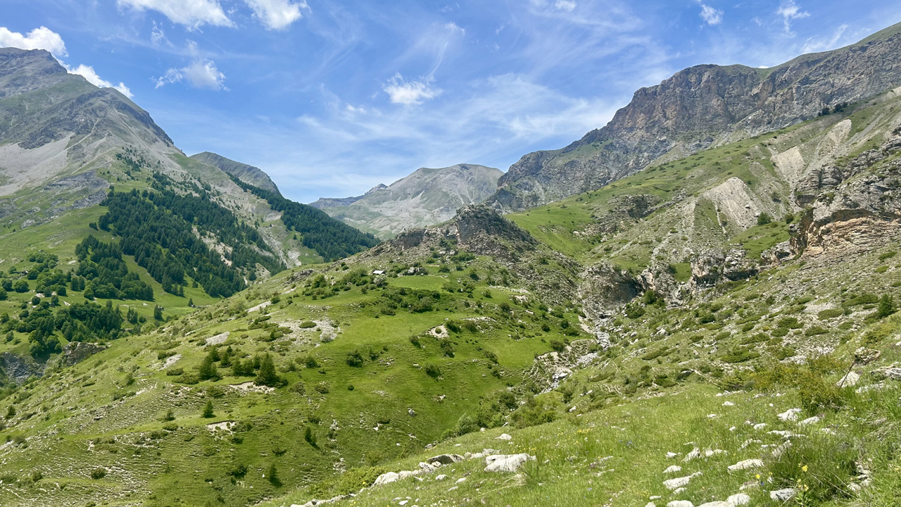 Dominique L16