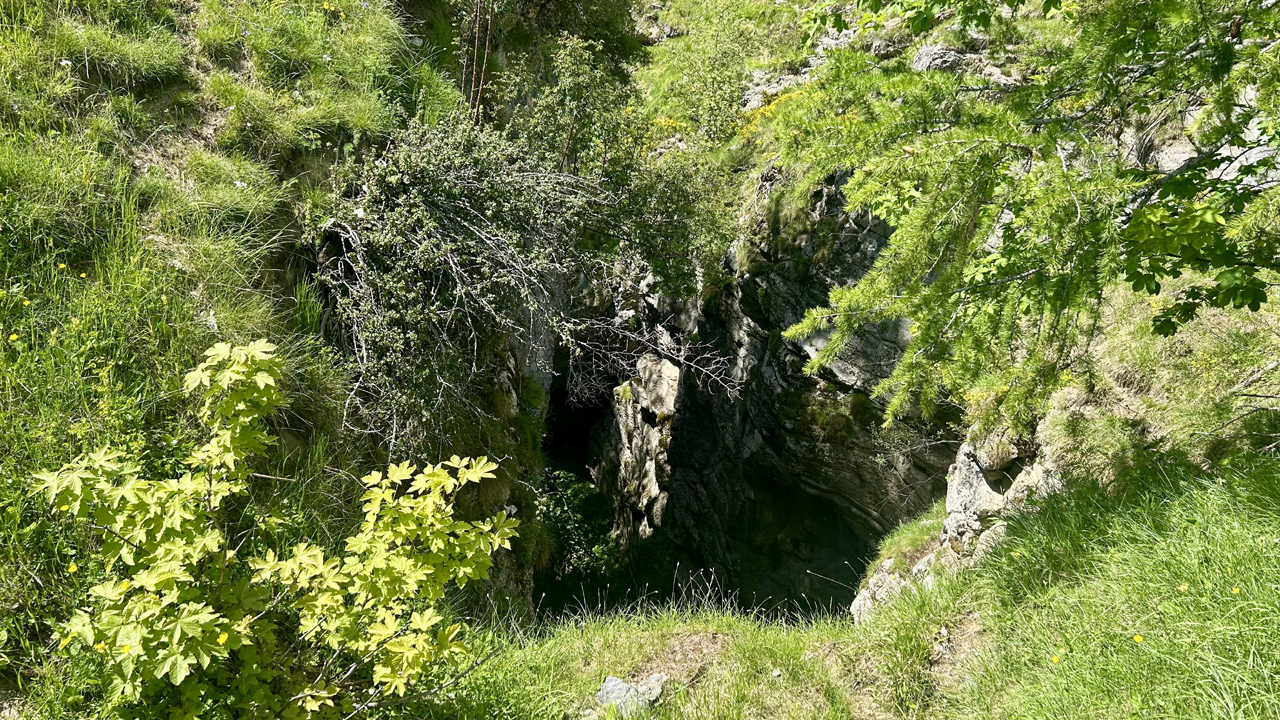 Dominique L18