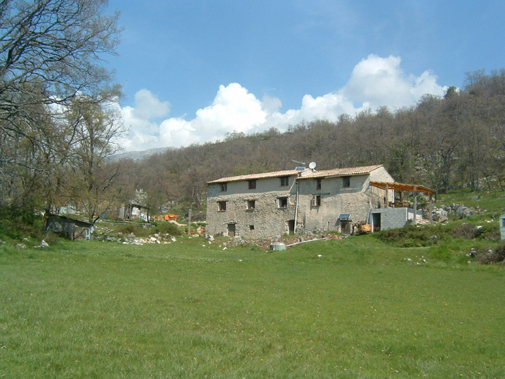 Bernard S11