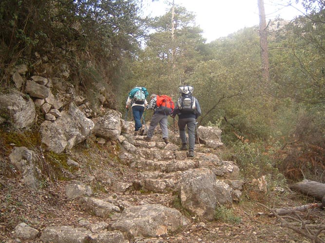 Baudon08