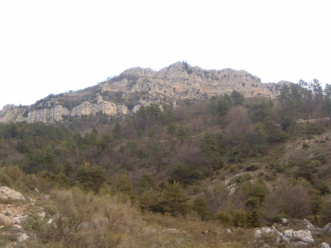 Baudon10