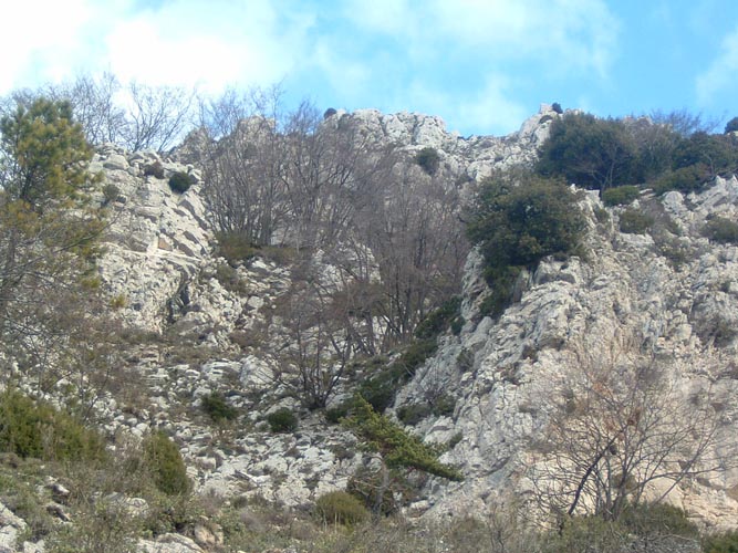 Baudon25