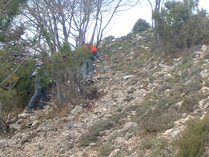 Baudon26