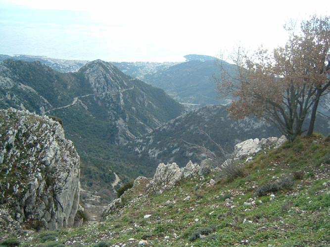 Baudon33