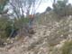Baudon26