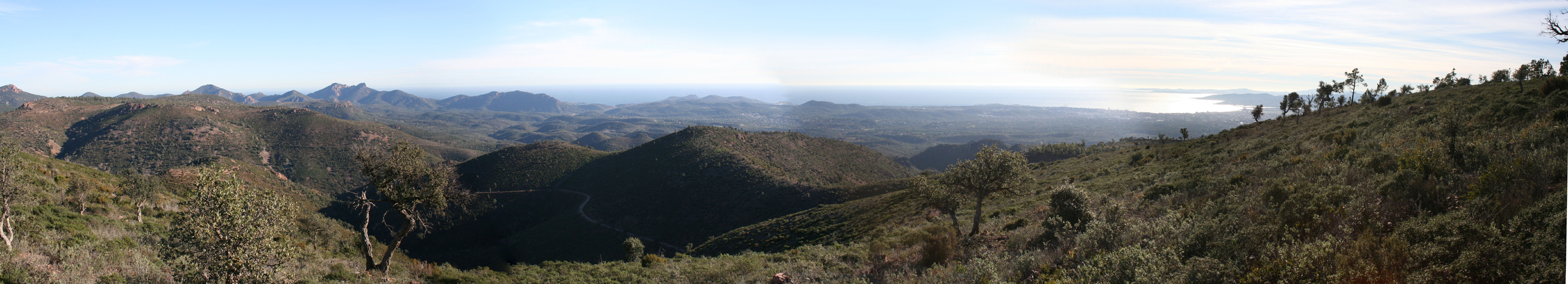 Panorama