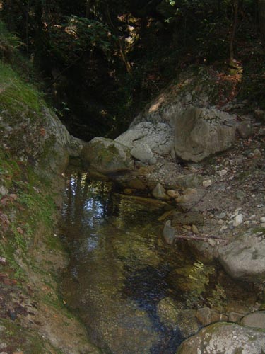 Grazian06