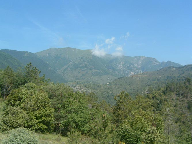 Grazian13
