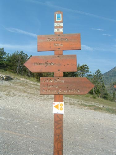 Grazian16