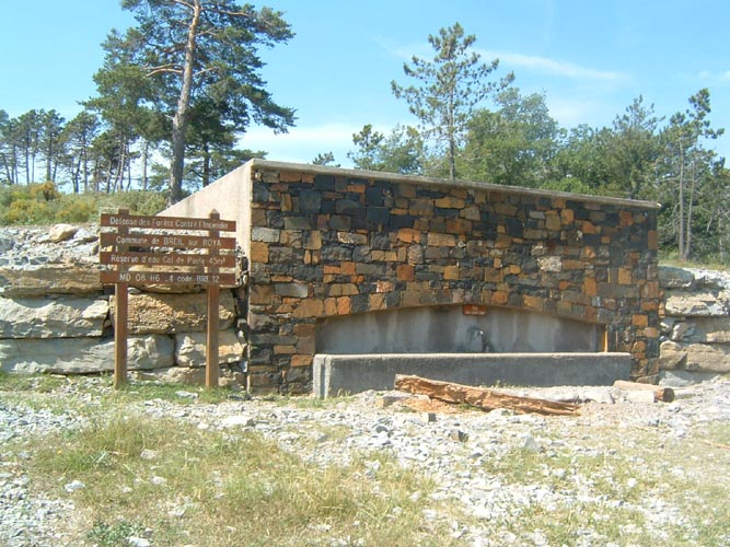 Grazian17